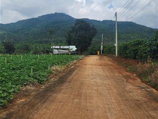 Bán đất thổ cư 125 m2(5m x 25 m), giá 1,2 tỷ, xã hiệp thạnh, tỉnh lâm đồng