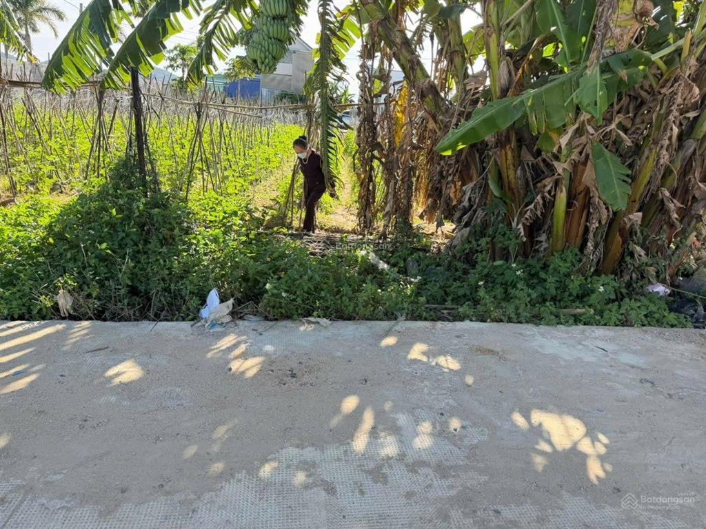 Bán đất thổ cư chính chủ giá rẻ tại đức trọng, lâm đồng, 160 m2, cách sân bay liên khương 5km