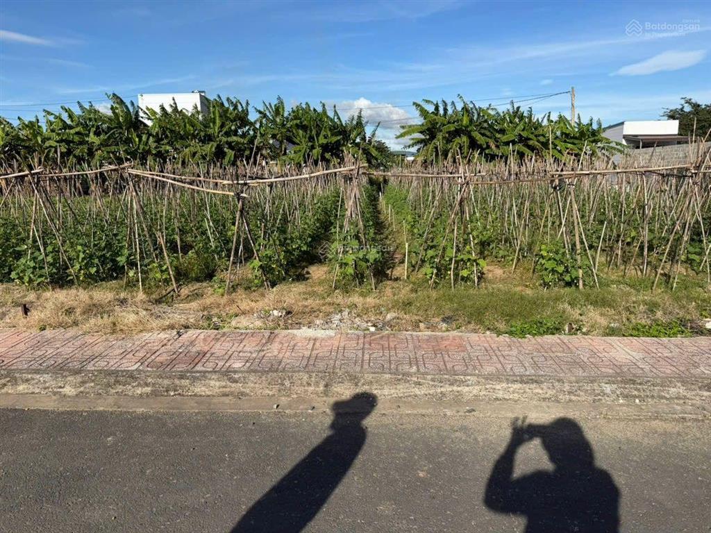 Bán đất thổ cư chính chủ giá rẻ tại đức trọng, lâm đồng, 160 m2, cách sân bay liên khương 5km