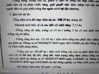 Bán 485ha đất rừng sản xuất đã có sổ