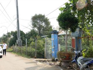 Bán 2001 m2 đất vườn, mặt tiền lộ dal. xã vĩnh thành, chợ lách, bến tre