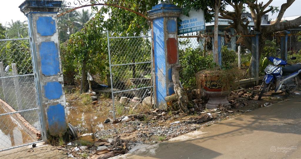 Bán 2001 m2 đất vườn, mặt tiền lộ dal. xã vĩnh thành, chợ lách, bến tre