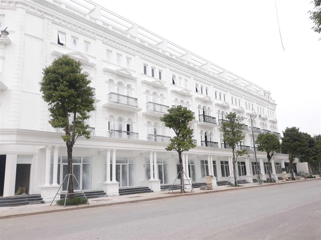 Cần bán gấp căn lk 96m2 hướng đông nam  da louis city đại mỗ vị trí đẹp, giá tốt   0983 080 ***