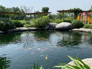 Siêu phẩm đất sông sài gòn 30.000m² long phước, thủ đức tài sản chiến lược cho nhà đầu tư lớn