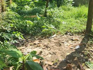 Bán đất thổ cư thôn tiên hội, xã đông hội, diện tích 80m2, mt 5m nằm trong lõi vinhomes cổ loa