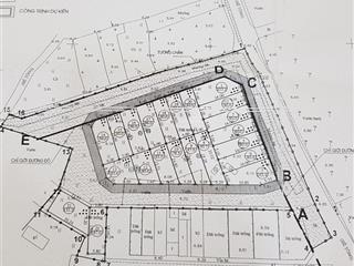 Chính chủ cần bán đất đấu giá x1 thôn hội phụ