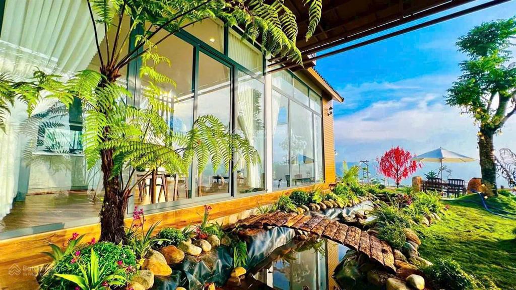 Bán villa săn mây 580,2m2 ngay dt 725 dốc đan mạch bức tường hoa dã quỳ, cầu lộc ngãi, bảo lâm