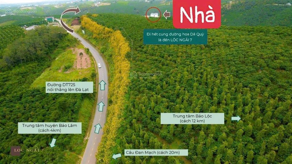 Bán villa săn mây 580,2m2 ngay dt 725 dốc đan mạch bức tường hoa dã quỳ, cầu lộc ngãi, bảo lâm