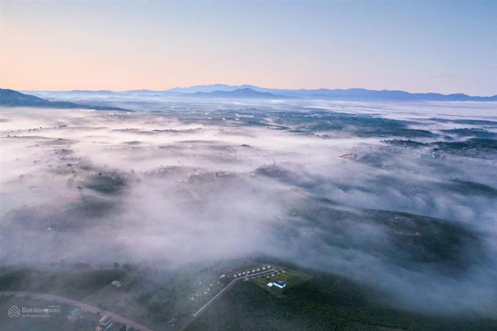 Bán villa săn mây 580,2m2 ngay dt 725 dốc đan mạch bức tường hoa dã quỳ, cầu lộc ngãi, bảo lâm