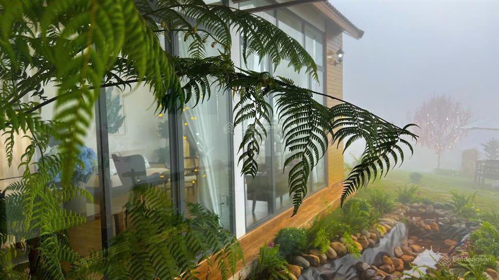 Bán villa săn mây 580,2m2 ngay dt 725 dốc đan mạch bức tường hoa dã quỳ, cầu lộc ngãi, bảo lâm