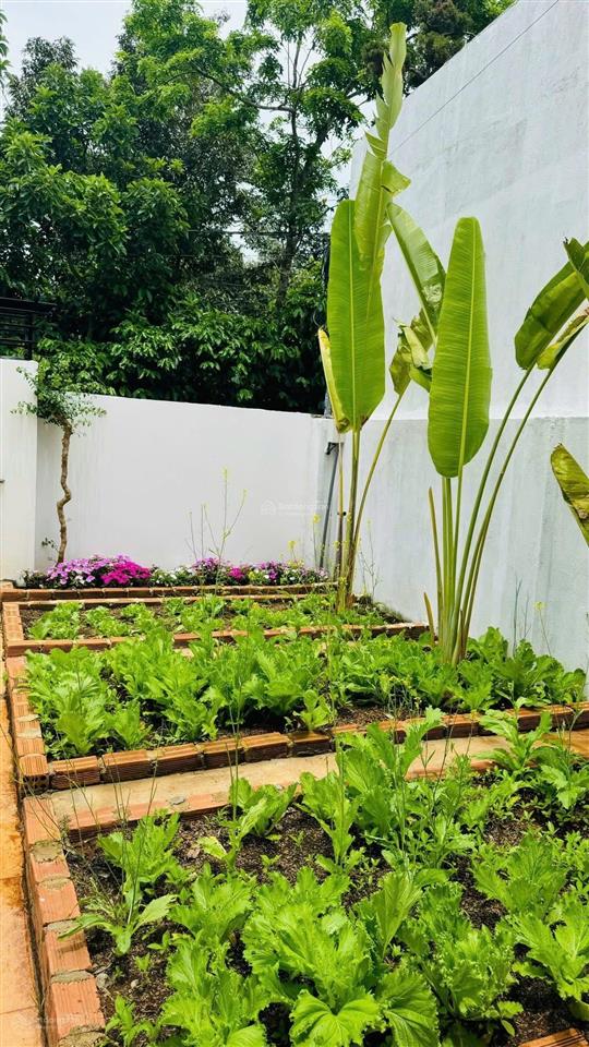 Bán nhà bảo lộc căn mini villas mới hoàn thiện 1 lầu 3 phòng ngủ master tặng full toàn bộ nội thất