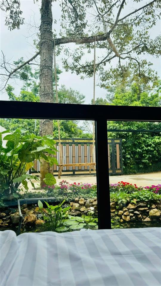 Bán nhà bảo lộc căn mini villas mới hoàn thiện 1 lầu 3 phòng ngủ master tặng full toàn bộ nội thất