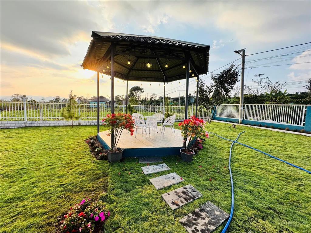 Bán nhà bảo lộc 619m2 nhà vườn full nội thất sát ubnd lộc tân gần khu nghỉ dưỡng kiwuki giá 3tỷ380