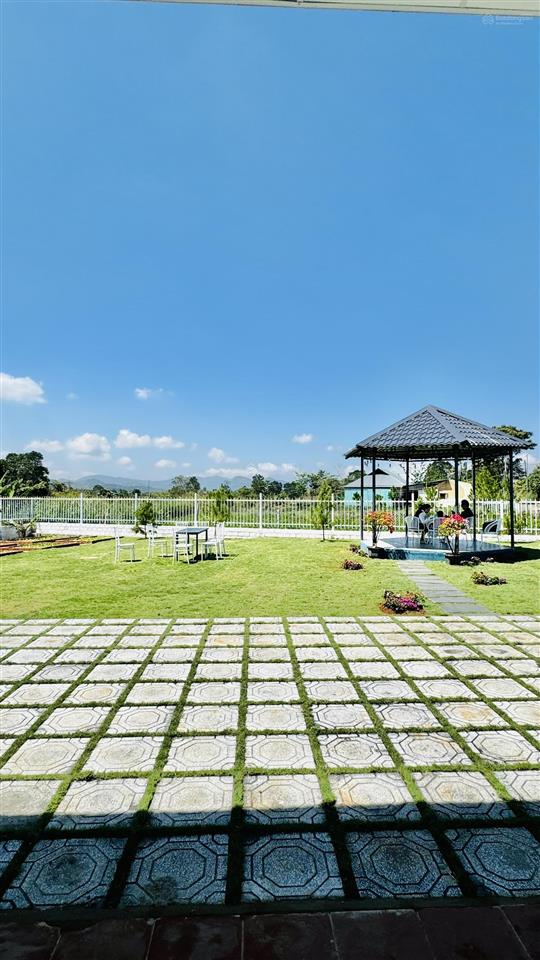 Bán nhà bảo lộc 619m2 nhà vườn full nội thất sát ubnd lộc tân gần khu nghỉ dưỡng kiwuki giá 3tỷ380