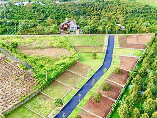 Bán đất bảo lộc  dt 227m2 ngang 14m full thổ cư, ngay ngã 3 chợ cũ lộc an đi vào 2,5km view đẹp