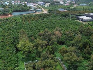 Bán đất bảo lộc  dt 437m2 ngang 20m sẵn 299m2 thổ cư đường trịnh hoài đức, p. b'lao, tp bảo lộc