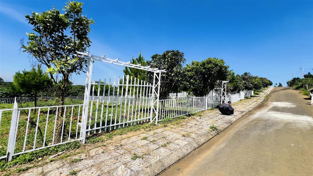 Bán đất bảo lâm lô 1 ngang 5m giá 850tr và lô 2 ngang 10m giá 1tỷ590 tặng cổng rào sắt full đất