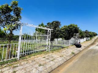 Bán đất bảo lâm lô 1 ngang 5m giá 850tr và lô 2 ngang 10m giá 1tỷ590 tặng cổng rào sắt full đất