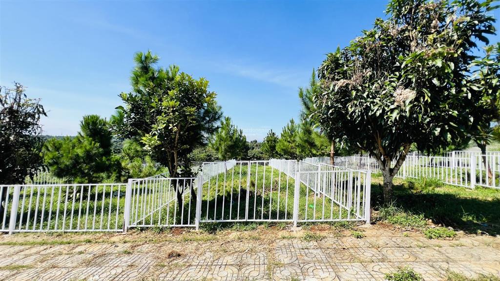 Bán đất bảo lâm lô 1 ngang 5m giá 850tr và lô 2 ngang 10m giá 1tỷ590 tặng cổng rào sắt full đất