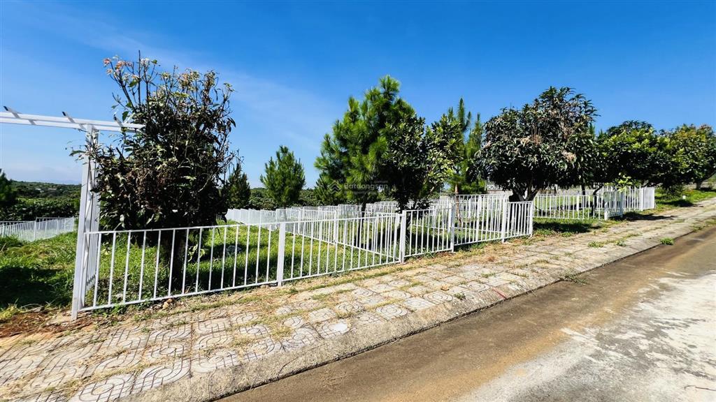 Bán đất bảo lâm lô 1 ngang 5m giá 850tr và lô 2 ngang 10m giá 1tỷ590 tặng cổng rào sắt full đất