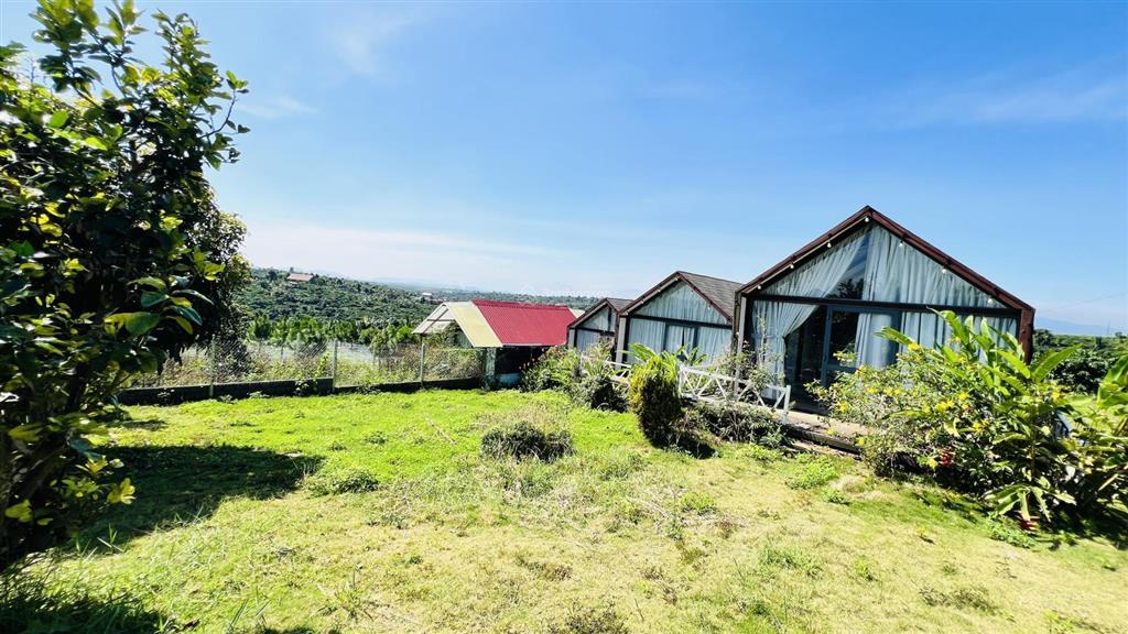 Bán đất bảo lâm lô 1 ngang 5m giá 850tr và lô 2 ngang 10m giá 1tỷ590 tặng cổng rào sắt full đất