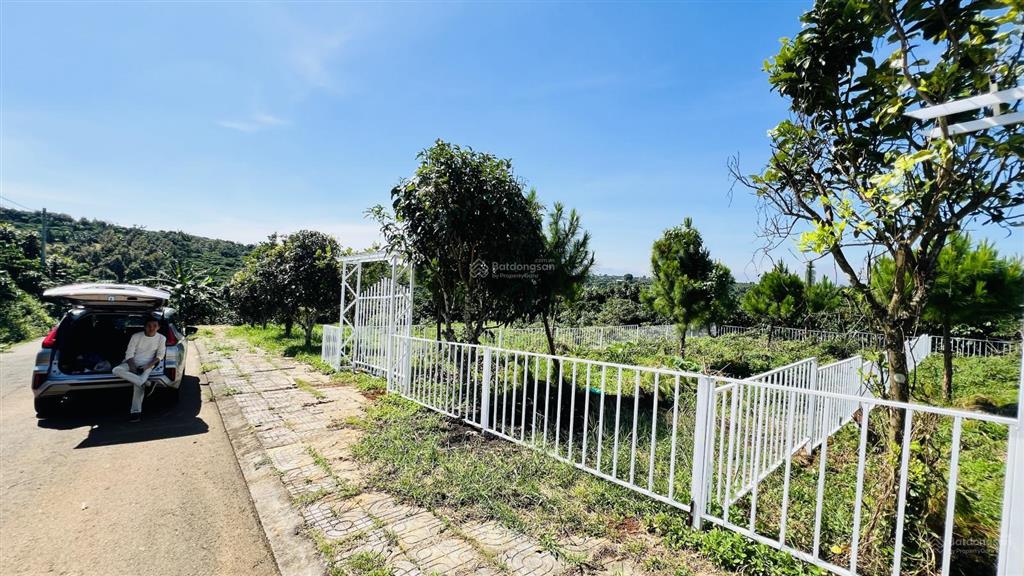 Bán đất bảo lâm lô 1 ngang 5m giá 850tr và lô 2 ngang 10m giá 1tỷ590 tặng cổng rào sắt full đất