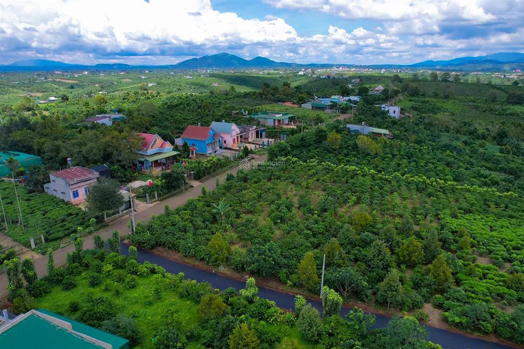 Bán đất bảo lâm lô 1 ngang 5m giá 850tr và lô 2 ngang 10m giá 1tỷ590 tặng cổng rào sắt full đất