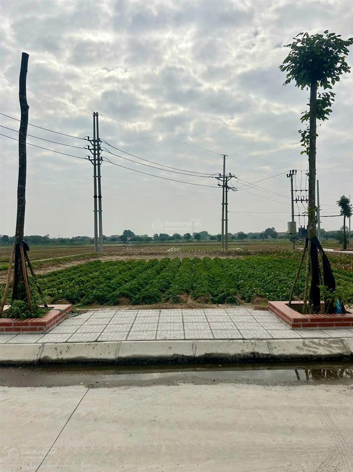 Chính chủ bán đất đấu giá cống đầm mai trang cực đẹp, đại xuyên phú xuyên