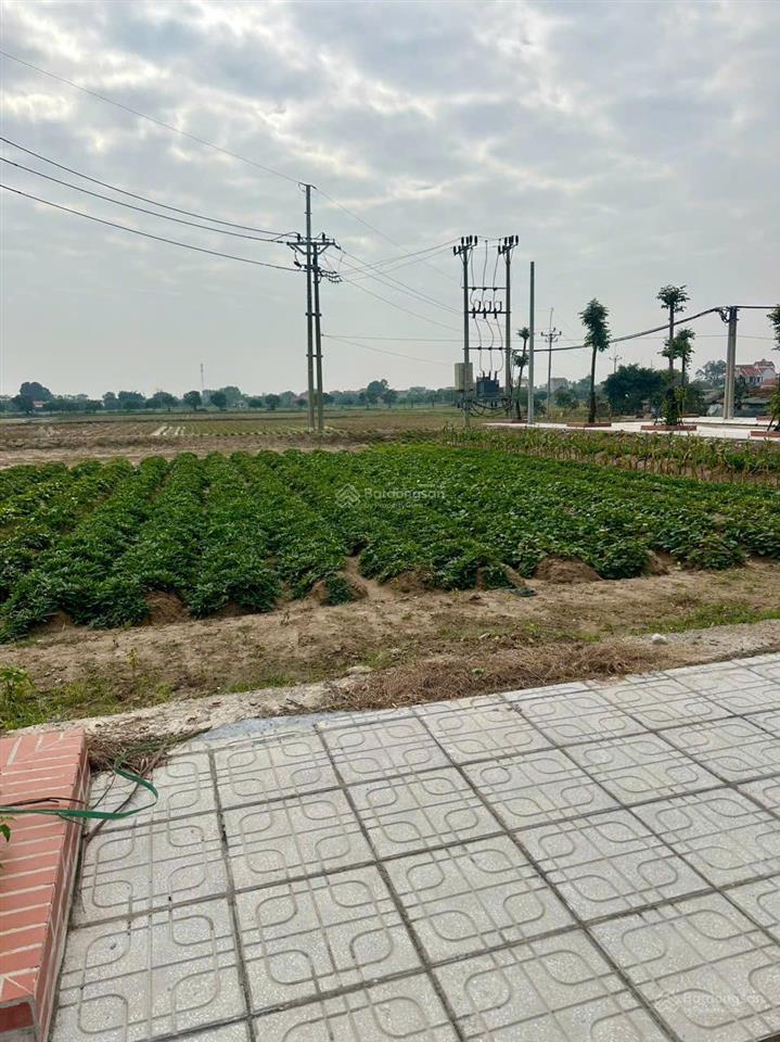 Chính chủ bán đất đấu giá cống đầm mai trang cực đẹp, đại xuyên phú xuyên
