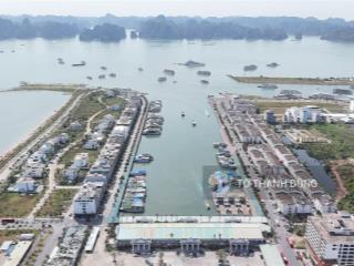 Bán shophouse 324m2 tại tuần châu marina hạ long, 23 tỷ vnd