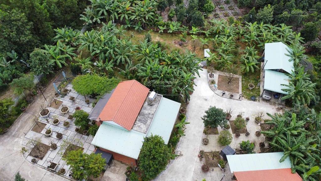 Nhà vườn xuân phú hòa sơn 2500m có 500m đất ở