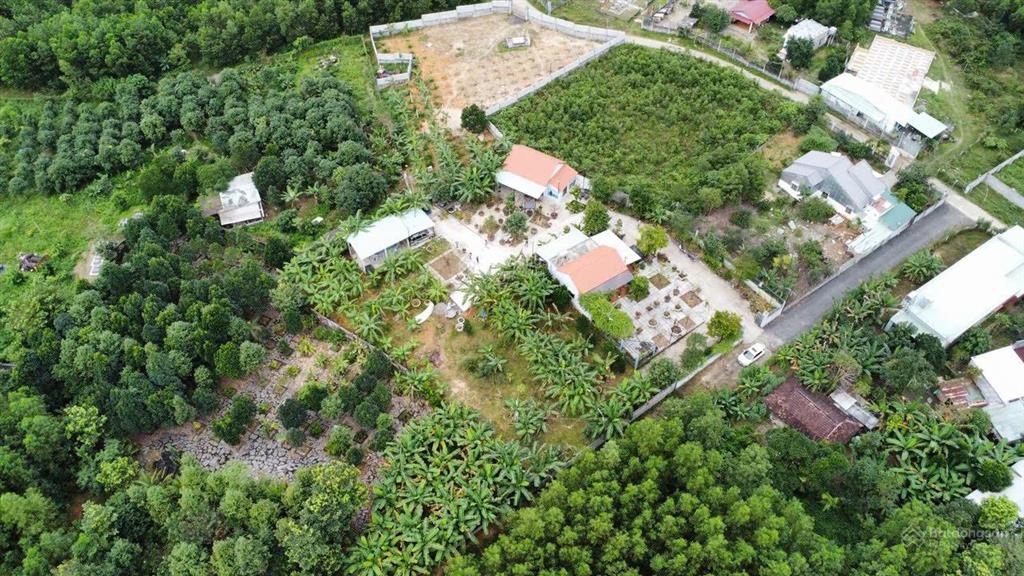 Nhà vườn xuân phú hòa sơn 2500m có 500m đất ở