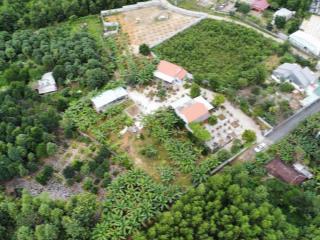 Nhà vườn xuân phú hòa sơn 2500m có 500m đất ở