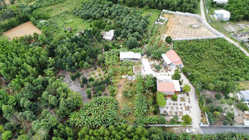 Nhà vườn xuân phú hòa sơn 2500m có 500m đất ở