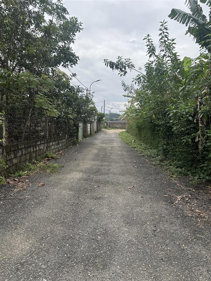 Nhà vườn xuân phú hòa sơn 2500m có 500m đất ở