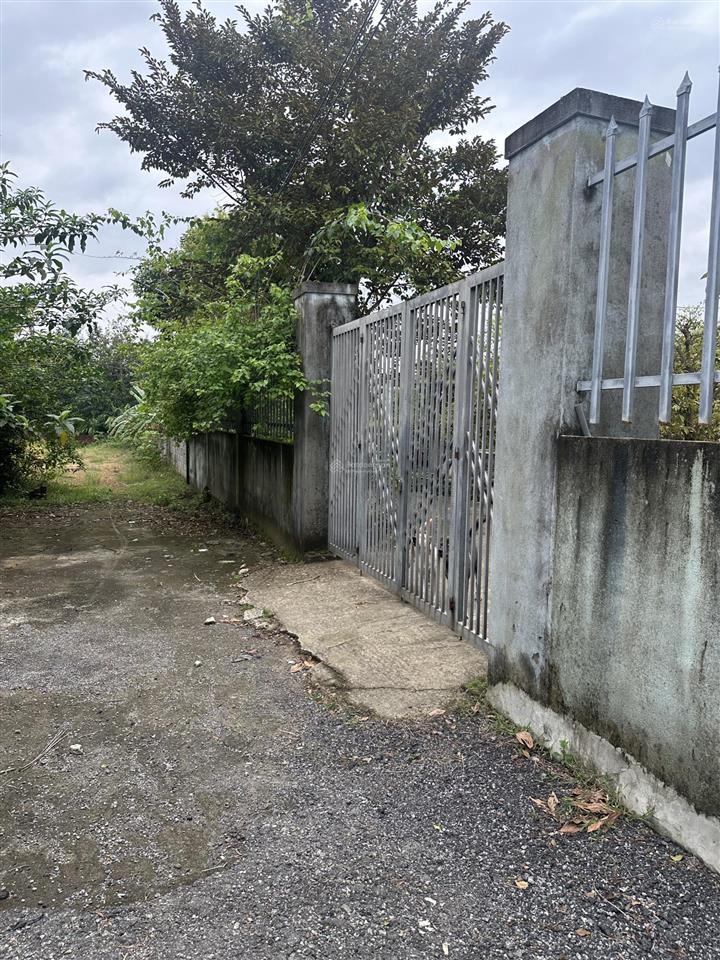 Nhà vườn xuân phú hòa sơn 2500m có 500m đất ở