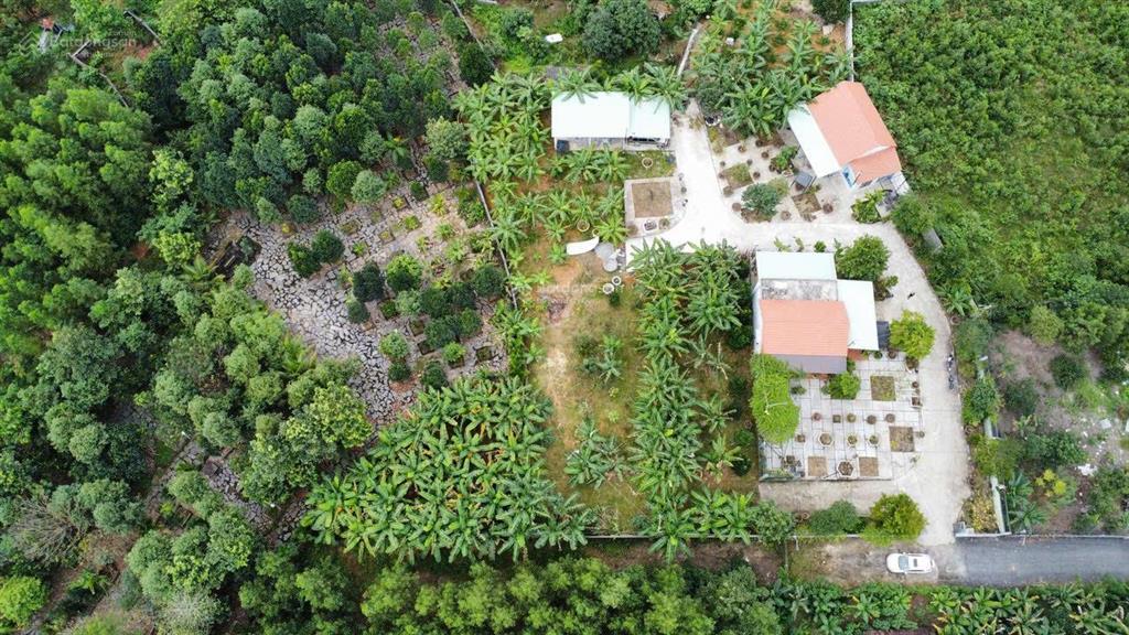 Nhà vườn xuân phú hòa sơn 2500m có 500m đất ở