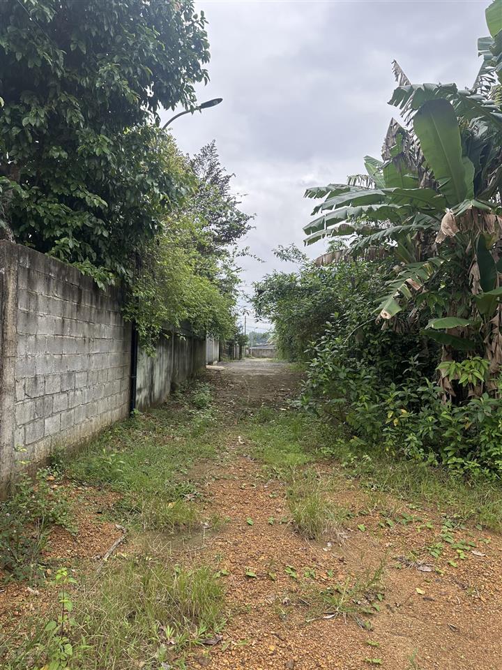 Nhà vườn xuân phú hòa sơn 2500m có 500m đất ở