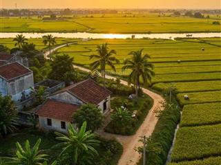 Bán lô nhà vườn sát đường dh2 view lúa có 100m2 thổ