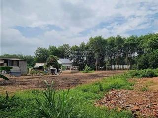 Bán gấp 893,7m2 đất thổ cư shr phú giáo  tp hồ chí minh. bao sổ, gần kcn an bình