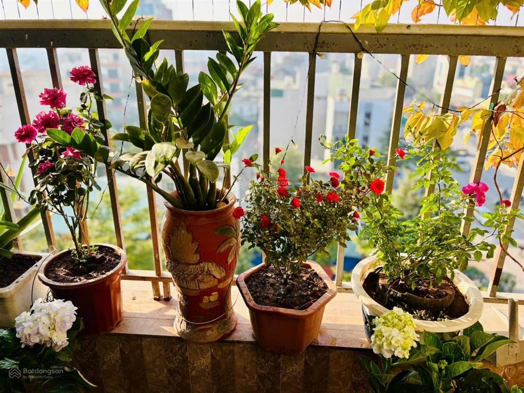 Cần bán gấp căn hộ góc 3ngủ 93m2 giá nhỉnh 5tỷ full nội thất, sẵn sổ, ở ngay