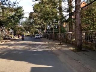 Cho thuê nhà nguyên căn đường yersin, phường 10, đà lạt, 90 triệu, 102m2 giá tốt