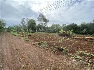 Bán 40 hecta đất sông lũy bắc bình thích hợp làm trại nuôi trồng đầu tư sinh lời nhanh