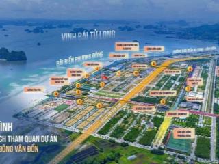Siêu phẩm đất biển vân đồn lô 87,5m2 kđt phương đông, giá hot 35 triệu/m2