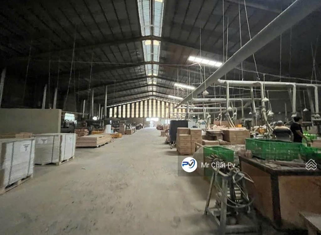 Bán xưởng ngay sân vận động gò đậu 10 651m² đang cho thuê 700tr/ tháng