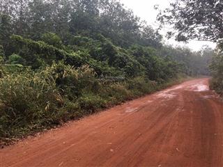 Tôi chính chủ cần bán đất ở xã minh hoà, huyện dầu tiếng, tỉnh bình dương. diện tích 4,7 hecta