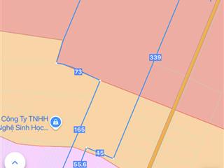 Bán đất 4,3ha ( 300 thổ cư 38.000m2 skc . xã định an , huyện dầu tiếng , bình dương ( 11 tỷ / ha )