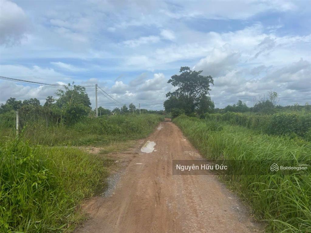 Bán đất mặt tiền sông sài gòn 15,5 ha (300m2 thổ cư) phường an tây, tp bến cát, bình dương