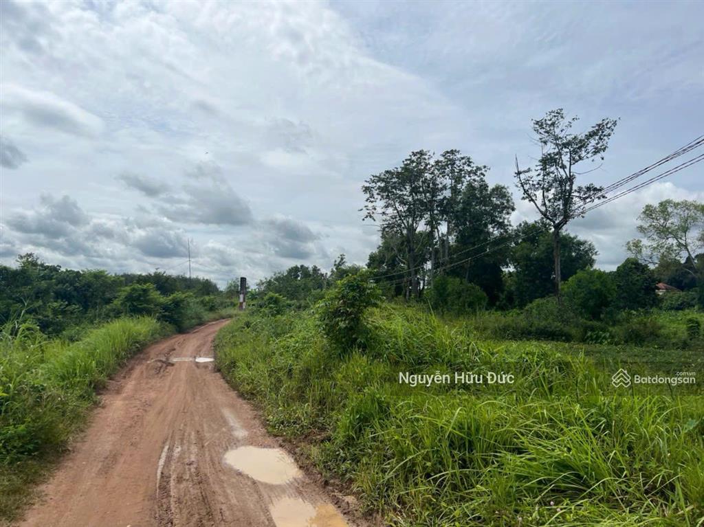 Bán đất mặt tiền sông sài gòn 15,5 ha (300m2 thổ cư) phường an tây, tp bến cát, bình dương