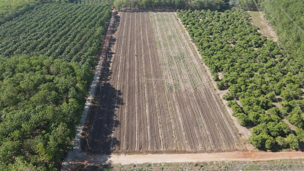 Cần bán đất cụm công nghiệp tại phú giáo. tphcm